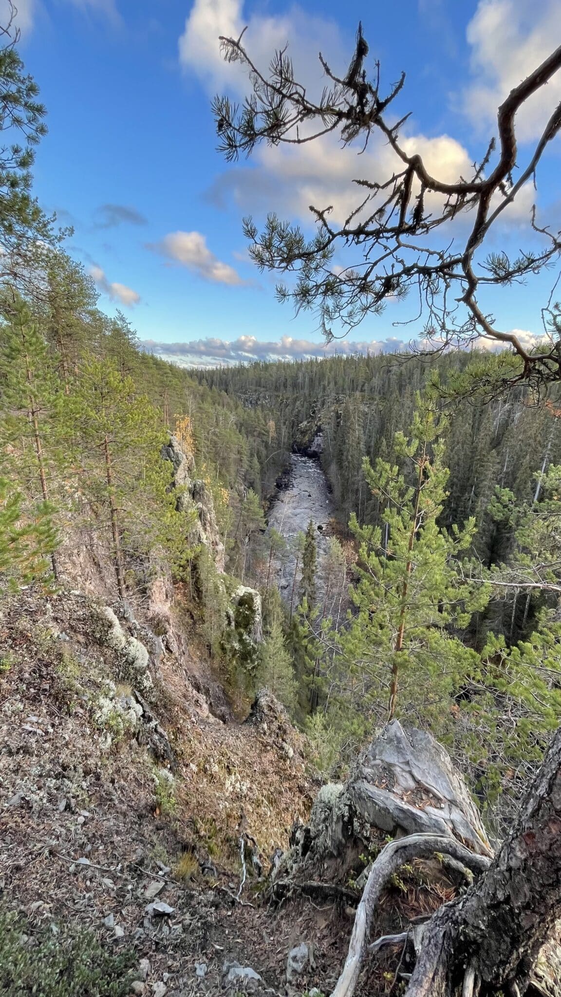 Kanjonin kurkkaus - Oulanka Canyon route - Oulangan Taika