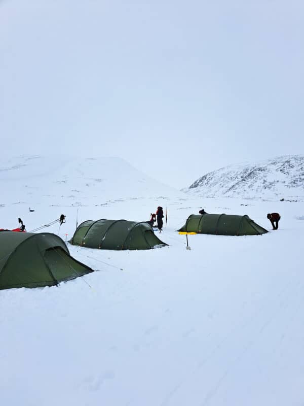 Käsivarren erämaa: Käsivarren Parhaat Pahtat hiihtovaellus 13.4.-19.4.2026 - Image 11