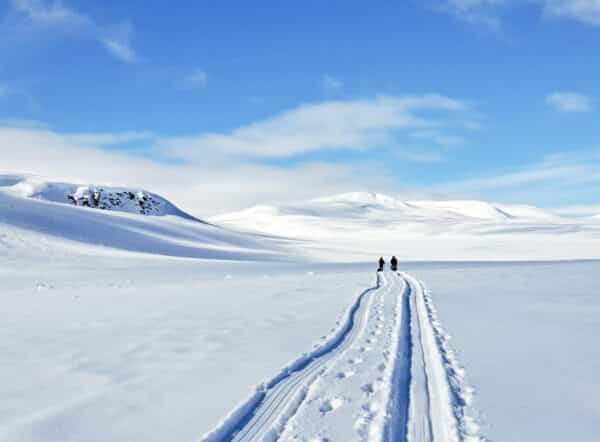 Käsivarren erämaa: Käsivarren Parhaat Pahtat hiihtovaellus 13.4.-19.4.2026 - Image 9