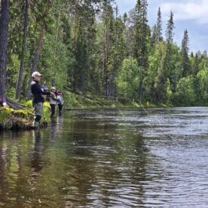 Kirjolohiongintaa perhoilla ja uistimilla Napapiirillä - 1