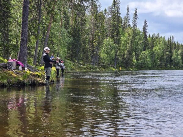 Kirjolohiongintaa perhoilla ja uistimilla Napapiirillä - 1