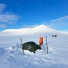 Käsivarren erämaa hiihtovaellus