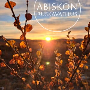 Abiskon ruskavaellus