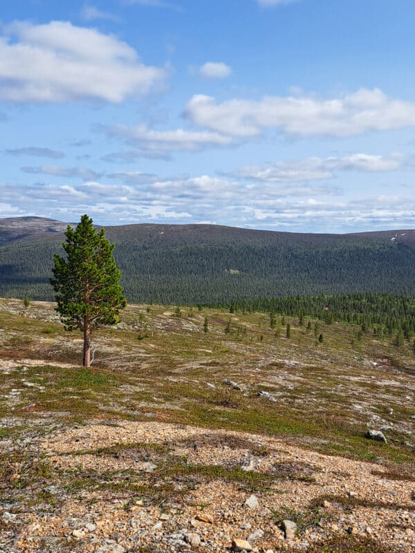 UKK: Kesävaellus Sokostille 9.-14.6.2026 - Image 6