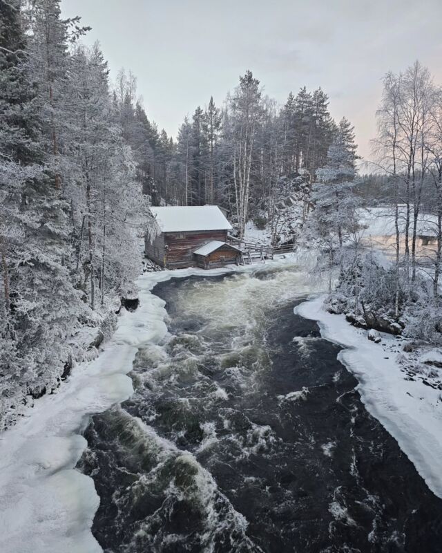 Enjoying crispy winter day today at Oulanka National Parl

#oulankanationalpark #oulangankansallispuisto #kitkariver #kitkajoki #ruka #rukakuusamo